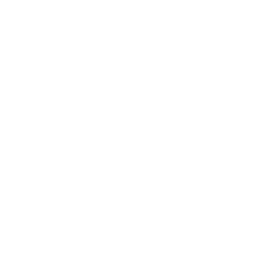 Map icon white