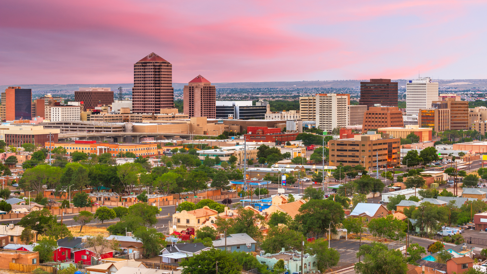 Best Burger Franchises to Open in New Mexico